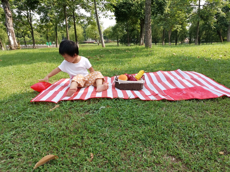 Beach Mat Sandproof